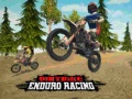 Oyunu Enduro Motor Yarışı çevrimiçi