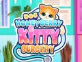 Oyunu Doktor HoneyBerry Kedi Cerrahisi çevrimiçi