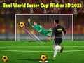 Oyunu Gerçek Dünya Futbol Kupası Flicker 3D 2023 çevrimiçi