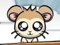 Oyunu Baloncuk Hamsterler çevrimiçi