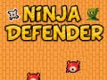 Oyunu Ninja Koruyucu çevrimiçi