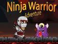 Oyunu Ninja Savaşçı Macerası çevrimiçi