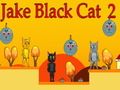 Oyunu Jake Siyah Kedi 2 çevrimiçi