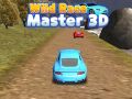 Oyunu Vahşi Yarış Ustası 3D çevrimiçi