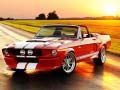 Oyunu Şık Mustang Farklılıkları çevrimiçi