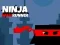Oyunu Ninja Duvar Koşucusu çevrimiçi