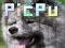 Oyunu PicPu Köpek çevrimiçi
