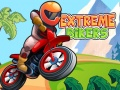 Oyunu Aşırı Bikerlar çevrimiçi