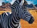 Oyunu Zebra Avcısı çevrimiçi