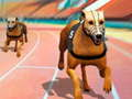 Oyunu Köpekler3D Yarışları çevrimiçi
