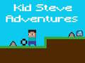 Oyunu Kid Steve Maceraları çevrimiçi