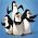 Madagaskar penguenleri Madagaskar penguenleri çevrimiçi
