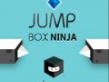 Oyunu Zıplayan Kutu Ninja çevrimiçi