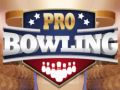 Oyunu Profesyonel Bowling çevrimiçi