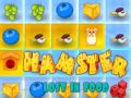Oyunu Yemekte Kaybolan Hamster çevrimiçi