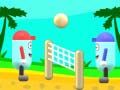 Oyunu Plaj Voleybolu çevrimiçi