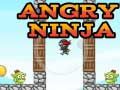 Oyunu Kızgın Ninja çevrimiçi
