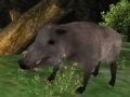 Oyunu Yaban Domuzu Avı çevrimiçi