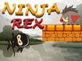Oyunu Ninja Rex çevrimiçi