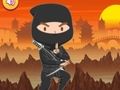 Oyunu Eğitimli Ninja Bulmacası çevrimiçi