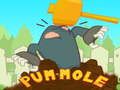Oyunu Pum-Mole çevrimiçi