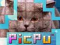Oyunu PicPu Kedi çevrimiçi