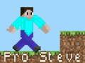 Oyunu Pro Steve çevrimiçi