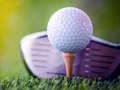 Oyunu Açık Golf Meydan Okuması çevrimiçi