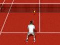 Oyunu Gerçek Tenis çevrimiçi