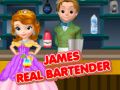 Oyunu James Gerçek Bartender çevrimiçi Oyunu James Gerçek Bartender çevrimiçi