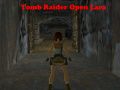 Oyunu Tomb Raider: Açık Lara çevrimiçi