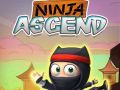 Oyunu Ninja Yükselişi çevrimiçi