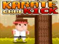 Oyunu Karate Tekmesi çevrimiçi