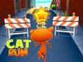 Oyunu Kedi Yarışı çevrimiçi