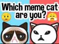 Oyunu Hangi Meme Kedisisin? çevrimiçi