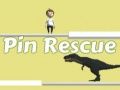 Oyunu Pin Kurtarma çevrimiçi