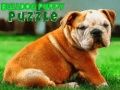 Oyunu Bulldog Yavru Bulmacası çevrimiçi