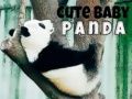 Oyunu Tatlı Bebek Panda çevrimiçi