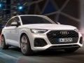 Oyunu Audi SQ5 TDI Kayma çevrimiçi