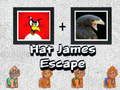 Oyunu Şapka James Kaçışı çevrimiçi