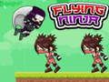 Oyunu Uçan Ninja çevrimiçi