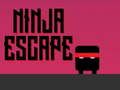 Oyunu Ninja Kaçışı çevrimiçi