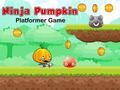 Oyunu Ninja Kabak Platform Oyunu çevrimiçi