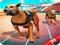 Oyunu Çılgın Köpek Yarışı çevrimiçi