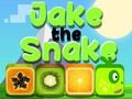 Oyunu Jake Yılan çevrimiçi Oyunu Jake Yılan çevrimiçi