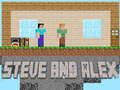 Oyunu Steve ve Alex çevrimiçi