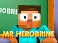 Oyunu Bay Herobrine çevrimiçi