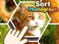 Oyunu Fotoğraf Sırala çevrimiçi