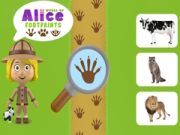 Oyunu Alice'nin İzi Dünyası çevrimiçi