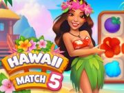 Oyunu Hawaii Eşleştir 5 çevrimiçi
